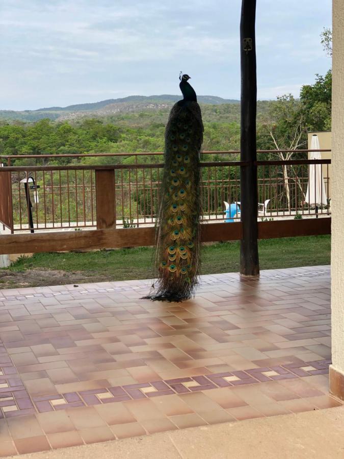 Cachoeira Poco Encantado Alto Paraíso de Goiás